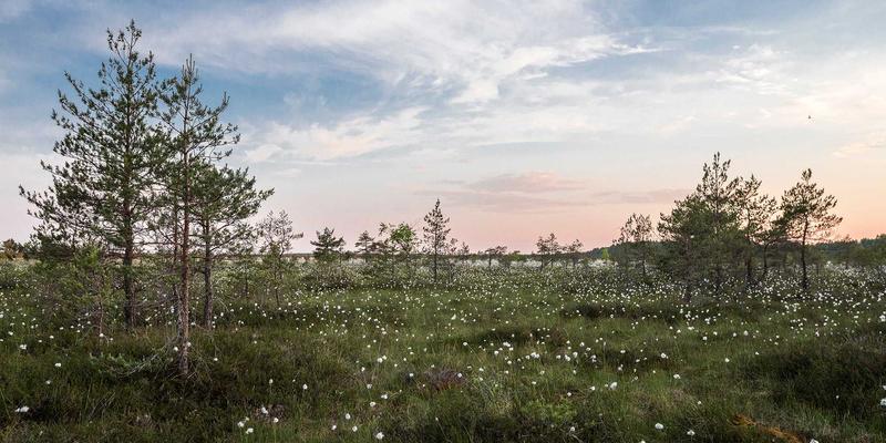 AI驱动的内容生成：智能工具如何重塑服务平台与便民信息发布流程