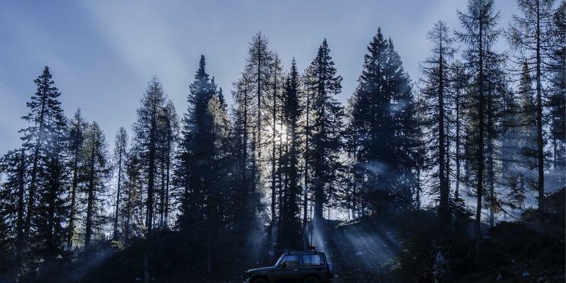 TL88988信息发布平台深度评测:便民服务新标杆如何重塑数字生活