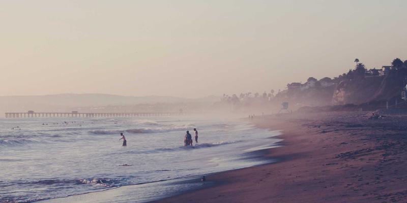 TL88988信息发布平台:解锁分类信息高效传播的新时代