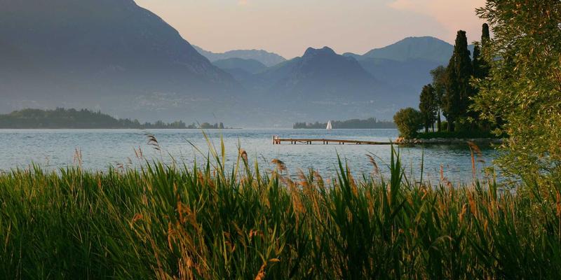 TL88988分类信息服务平台如何通过用户画像算法实现精准推送？