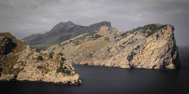 TL88988：探索新一代分类信息服务平台的创新与价值