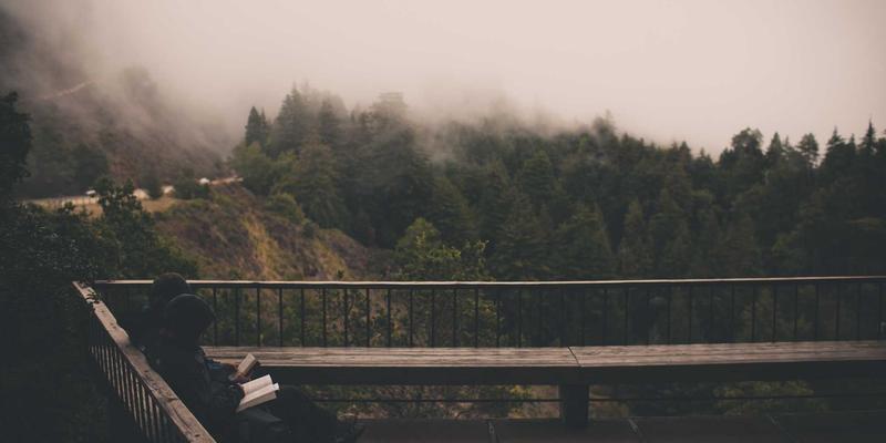 TL88988:本地生活信息发布平台的创新实践与未来展望