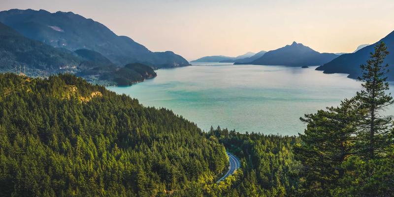 TL88988本地生活分类信息平台：信息发布内容的可访问性设计实践指南