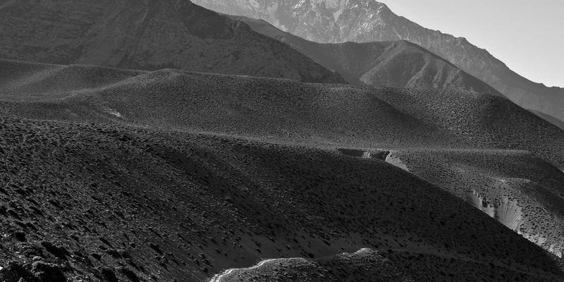 信息发布16:本地生活服务新引擎,TL88988如何重塑社区连接