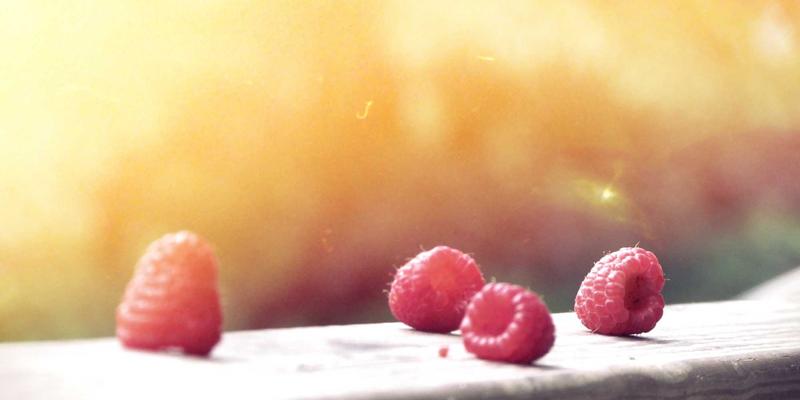 信息发布21：TL88988如何重塑本地生活服务新生态