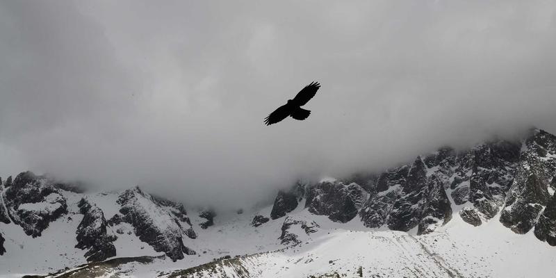 信息发布3.0时代：如何通过本地化便民服务打造社区数字新生态