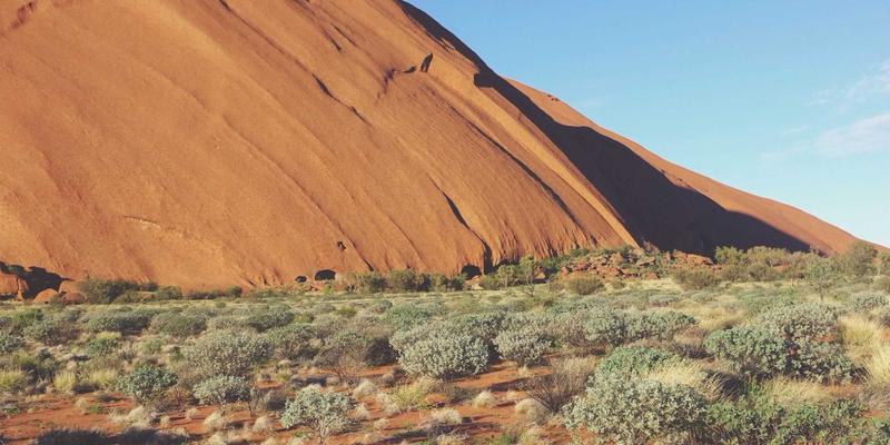信息发布92:分类信息服务平台如何重塑本地生活新生态