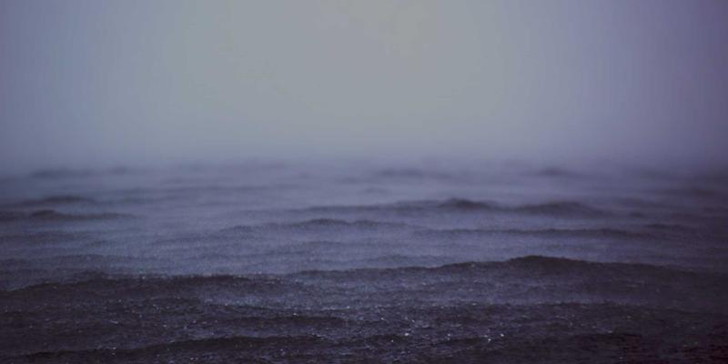 信息发布新纪元:本地生活服务如何借力TL88988等平台重塑商业生态