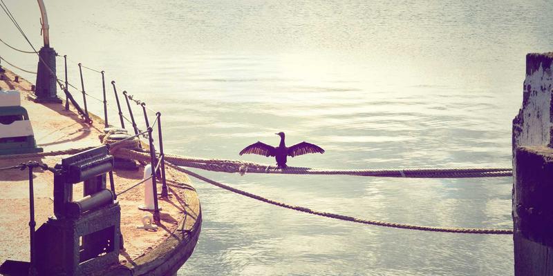 信息发布服务平台:数字化时代的便民服务新枢纽