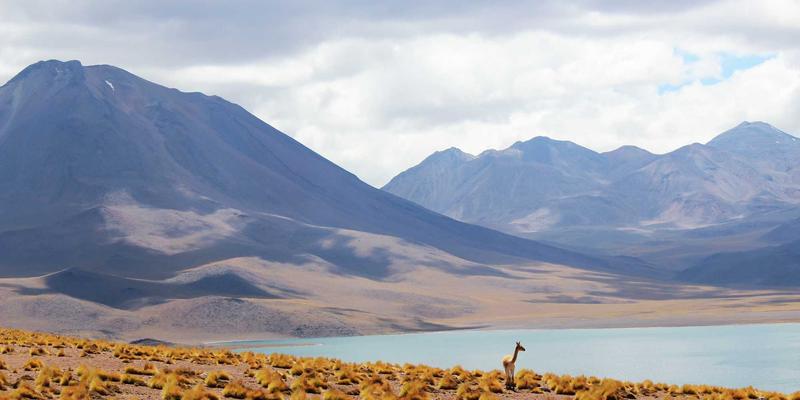 危机公关中信息发布的时机与内容把控：以TL88988便民服务平台为例