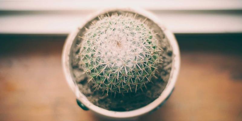 大数据分析如何赋能信息发布与服务平台，精准预测趋势并优化便民服务