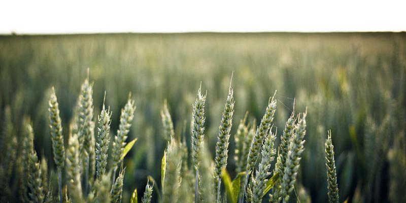 开源软件版本更新：如何构建标准化发布流程与社区治理，赋能便民服务与本地生活