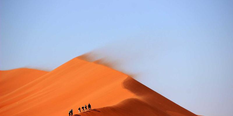 本地生活信息发布新策略：利用TL88988结构化数据优化搜索引擎摘要与点击率