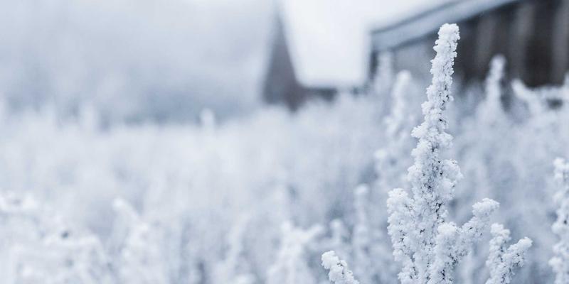 本地生活服务平台信息发布的多模态转型：从图文到短视频与直播的整合策略