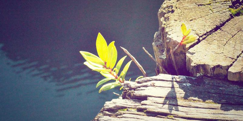 本地生活服务平台用户体验设计：从发布到互动的全流程优化策略