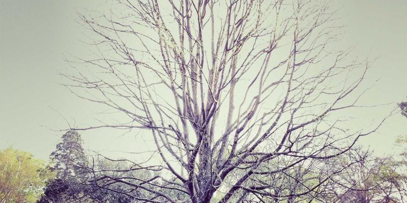 构建安全高效的信息发布平台：UGC治理机制如何赋能便民服务