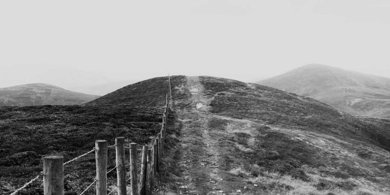 构建本地生活服务平台信息发布效果评估体系：从曝光量到业务转化的关键指标解析